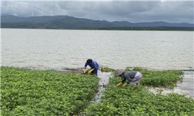 Điều chỉnh thời gian tích nước thủy điện, dân có cơ hội thu tiền tỷ