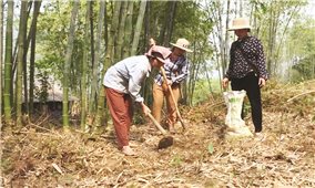 Sức sống mới ở Mường Khăng