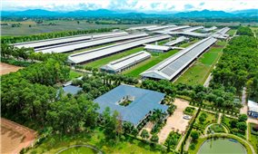 Vinamilk được xếp hạng thương hiệu AAA+: Khẳng định vị thế Việt Nam trong ngành sữa thế giới