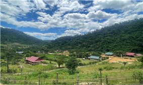 An yên cho người Đan Lai
