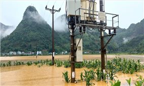 Lào Cai tăng cường các biện pháp ứng phó cơn bão số 5