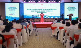 Sản xuất theo chuỗi, nâng cao giá trị nông sản vùng Bắc Trung Bộ