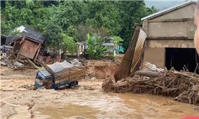 Ủy ban Trung ương MTTQ Việt Nam phân bổ 131 tỷ đồng khắc phục hậu quả mưa lũ