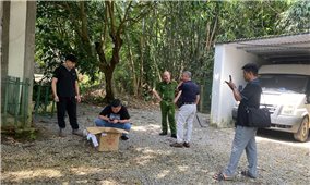 Ninh Bình: Giải cứu cá thể rái cá vuốt bé quý hiếm