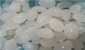 Thức quà độc đáo mát lành của rừng Tây Nguyên