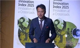 Việt Nam đứng Top 1 toàn cầu ở 3 chỉ số đổi mới sáng tạo