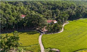 Lộc Yên - Làng cổ trăm năm thức giấc giữa hiện đại