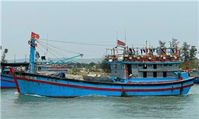 Quảng Ngãi khẩn trương ứng phó siêu bão Ragasa