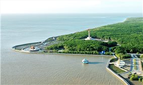 Cà Mau: Bàn giải pháp định vị thương hiệu du lịch tỉnh trong tổng thể du lịch quốc gia