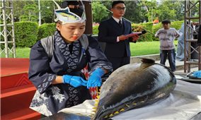 Du lịch Gia Lai bứt phá nhờ tổ chức nhiều sự kiện hấp dẫn