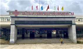 Gia Lai: Ăn thịt cóc, 9 học sinh phải nhập viện cấp cứu