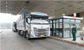 Lào Cai nhộn nhịp các hoạt động kinh tế trong ngày đầu năm