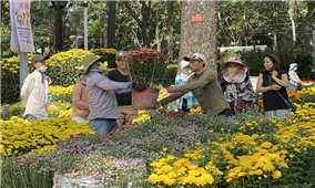 “Bùng nổ” chợ hoa Tết Online