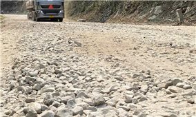 Gần 17 tỷ đồng khắc phục hậu quả thiên tai trên hai tuyến đường trọng yếu qua xã vùng núi ở Đà Nẵng