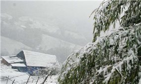 Các địa phương chủ động ứng phó rét đậm, rét hại và gió mạnh trên biển