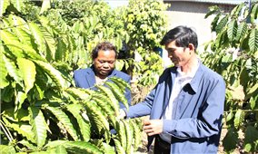 Những Bí thư chi bộ trẻ góp sức làm thay đổi nơi vùng cao Quảng Ngãi