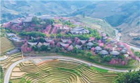 Tết này, nhà đã ấm