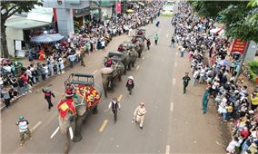 Lễ hội sầu riêng Krông Pắc nâng quy mô cấp tỉnh