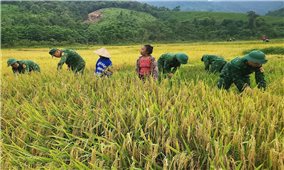 Tình quân dân nơi biên giới Quảng Trị