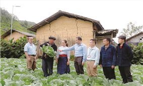 Khát vọng của cô gái dân tộc Cơ Lao