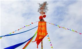 Thành nhà Hồ dựng nêu đón Tết, lan tỏa hồn Xuân Tây Đô