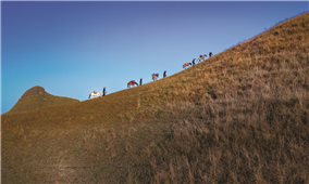 Xuân gọi nắng trên miền biên viễn Cao Bằng