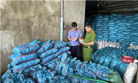 Khởi tố nữ giám đốc sản xuất hàng ngàn tấn muối I- ốt giả