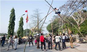 Cây đu ngày Tết ở quê nhà