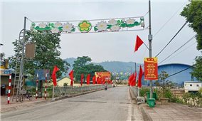 Rực rỡ sắc Xuân trên khắp nẻo đường vùng cao Quảng Ninh