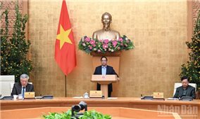 Phấn đấu triển khai hiệu quả các mục tiêu năm 2026 ngay từ ngày đầu, tháng đầu năm mới