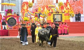 Về Đọi Sơn xem “vua đi cày”