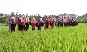 Người Mường mở hội hạ nêu tại ngôi đình tọa lạc giữa cánh đồng