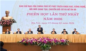 Thủ tướng chủ trì Phiên họp Ban Chỉ đạo về phát triển khoa học, công nghệ, đổi mới sáng tạo, chuyển đổi số và Đề án 06
