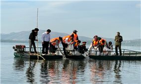 Quảng Ngãi: Thực hiện nhiều mô hình sinh kế cho đồng bào DTTS ngay từ đầu năm