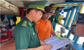 Quảng Trị: Quyết liệt phòng, chống khai thác IUU