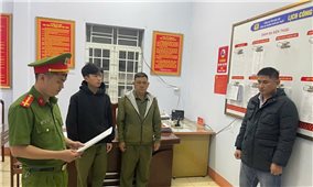 Khởi tố, bắt tạm giam giám đốc doanh nghiệp sản xuất và bán ra thị trường hàng trăm tấn lúa giống giả