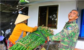 Nông dân vựa hoa ở Quảng Ngãi vui mừng vì hoa nở đúng dịp và được giá