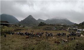 Trải nghiệm Ngày hội Xuân trên biên cương xứ Nghệ