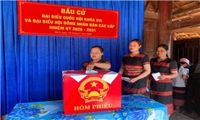 Trên 99% cử tri cả nước đã đi bỏ phiếu bầu cử