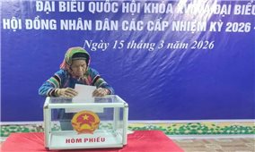 100% cử tri xã vùng cao Pha Long hoàn thành bỏ phiếu bầu cử