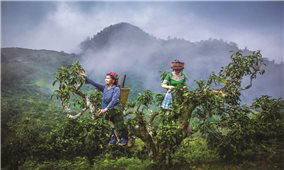 Giàng Pằng - Nơi người Mông viết câu chuyện từ Shan tuyết