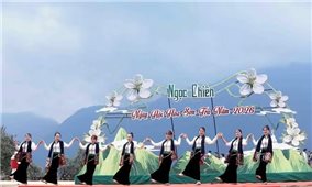 Ngày hội Hoa Sơn tra - Hoạt động văn hóa, du lịch đặc sắc ở Ngọc Chiến