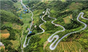 Thử thách cực hạn với vùng đất đá tai mèo: Giải chạy lớn sẵn sàng khởi tranh