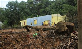 Đà Nẵng đề xuất xây khu tái định cư cho người dân vùng miền núi bị thiên tai