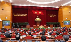 Tổng Bí thư Tô Lâm: Quán triệt sâu sắc 