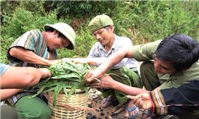 Người Gié Triêng kết thúc năm cũ, đón năm mới bằng Lễ ăn than