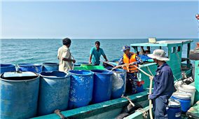 “Giải khát” cho người dân đảo Hòn Chuối trong nắng hạn gay gắt