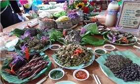 Rau đồ - Chinh phục thực khách bằng vị ngọt nguyên sơ của núi rừng