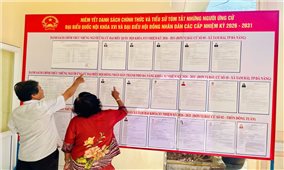 Đà Nẵng: Cử tri từ biển đảo đến vùng cao náo nức hướng đến ngày bầu cử