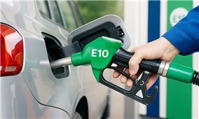 Xăng E10 chuẩn bị phủ sóng, vì sao vẫn chưa thể bứt tốc?